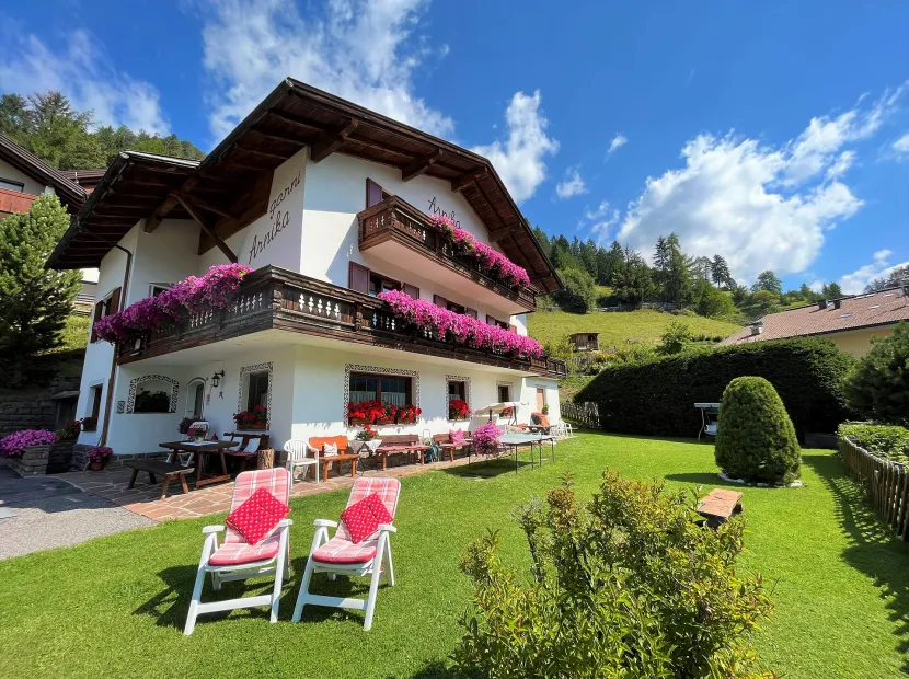 B&B Arnika
