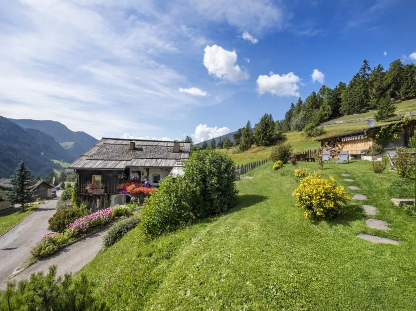 Apartments Trebe