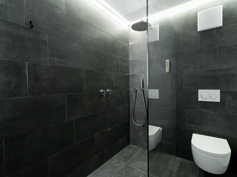 Aparments Chalet Insignis