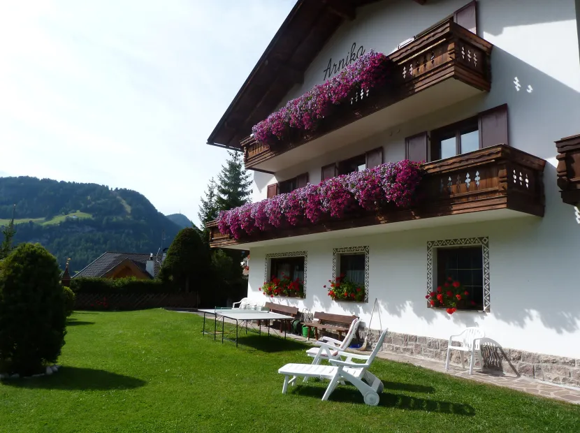 B&B Arnika