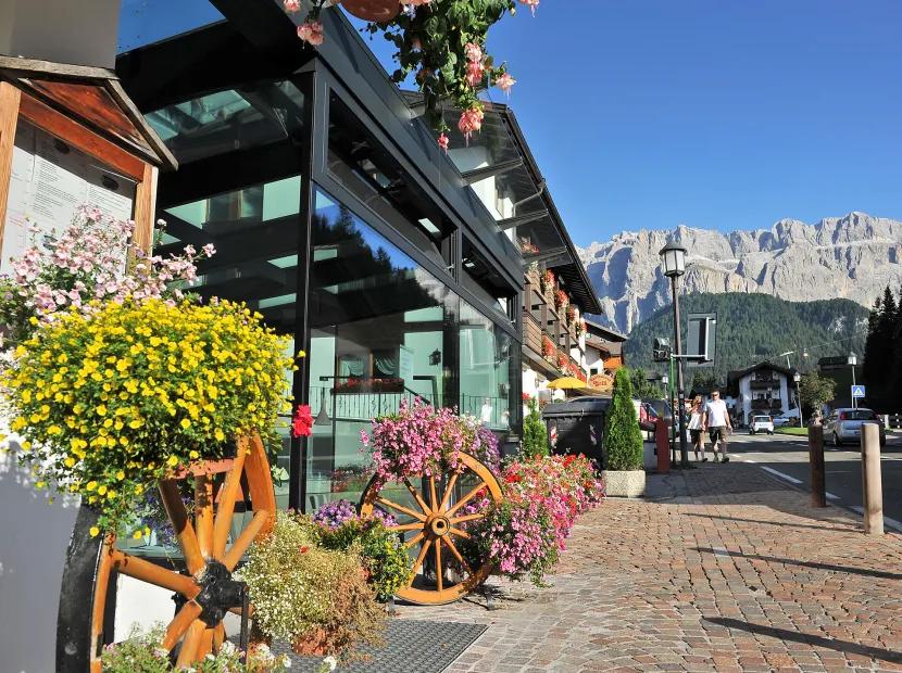 Hotel Des Alpes