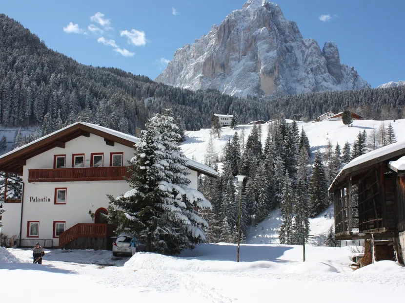 Apartments Valantin
