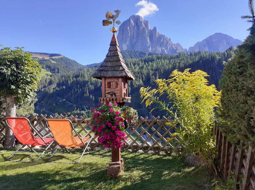 B&B Arnika