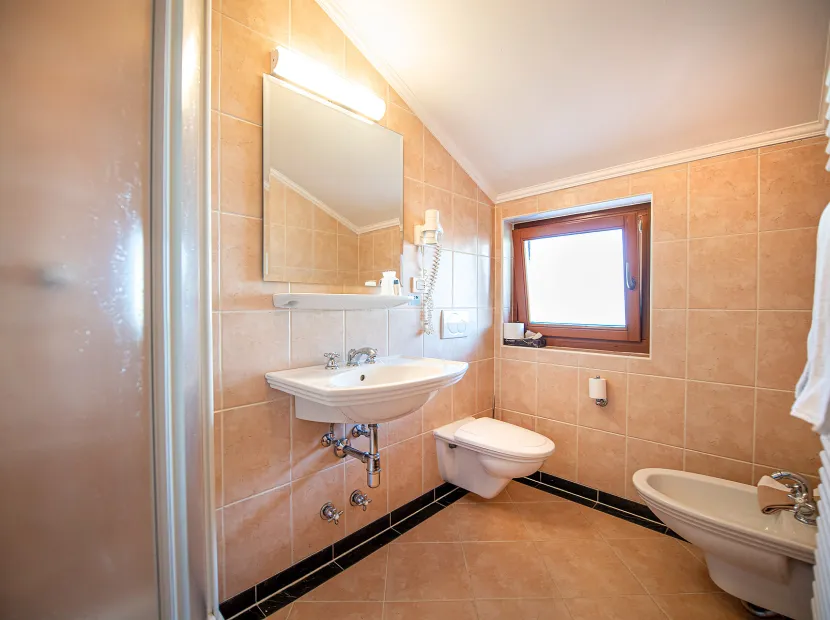 Chalet Solaia