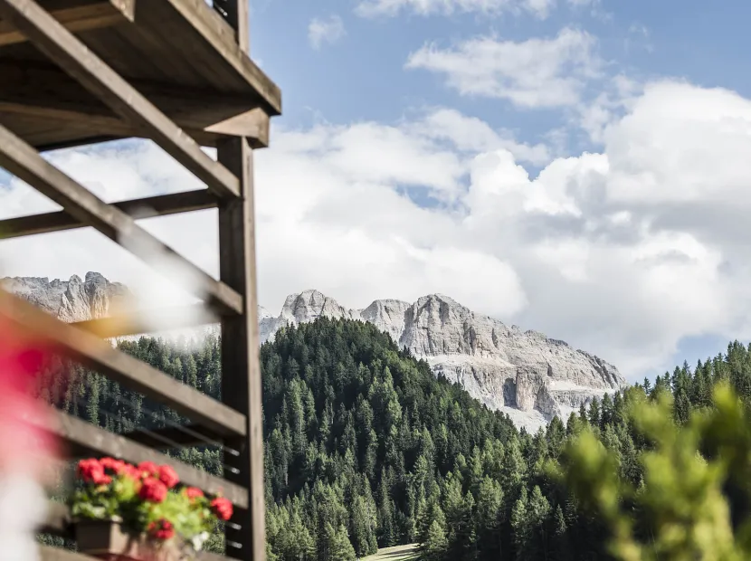 Apartments Cadepunt - The Dolomites Lodge