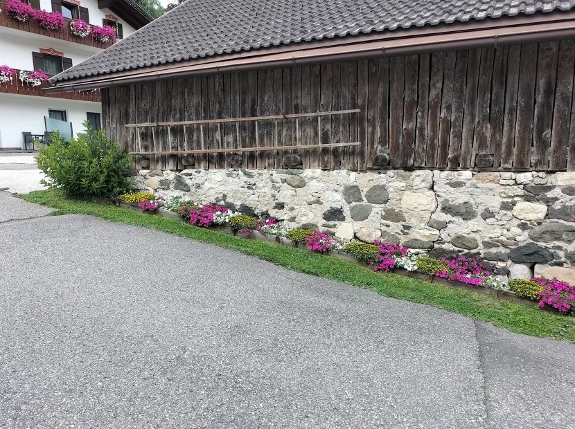 Apartments Cesa Zinch