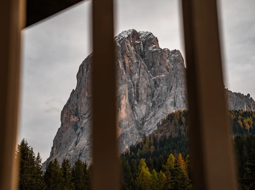 Apartments Chalet Ski
