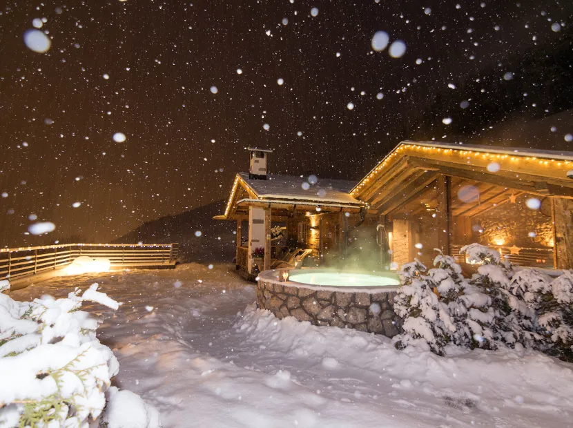 Apartments Alpinchalet Luispeck