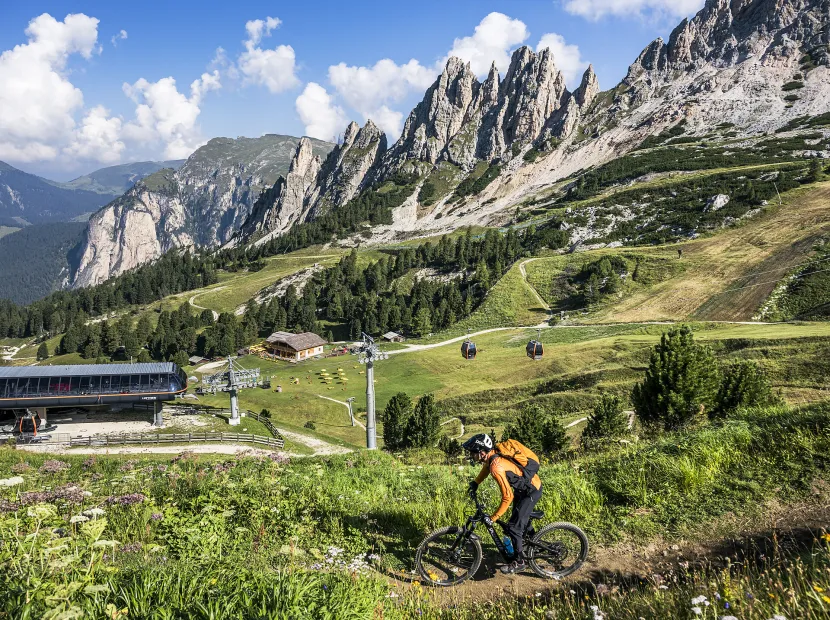 Advanced MTB Course in the Trail Arena