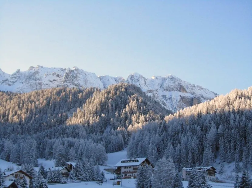 Apartments Pavël