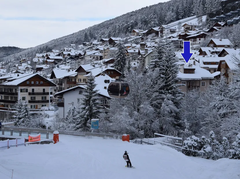 Apartments Furmescer Alpine Home