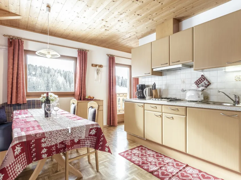 Apartments Ciaslat