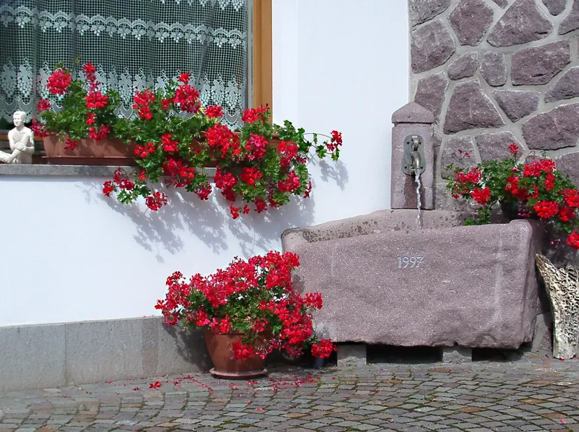 Apartments Granit