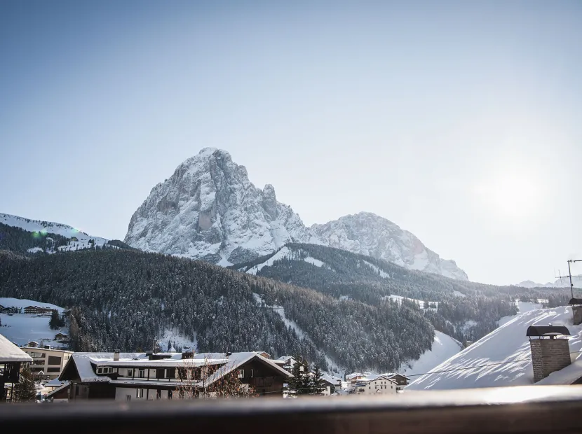 Apartments Chalet Zirm