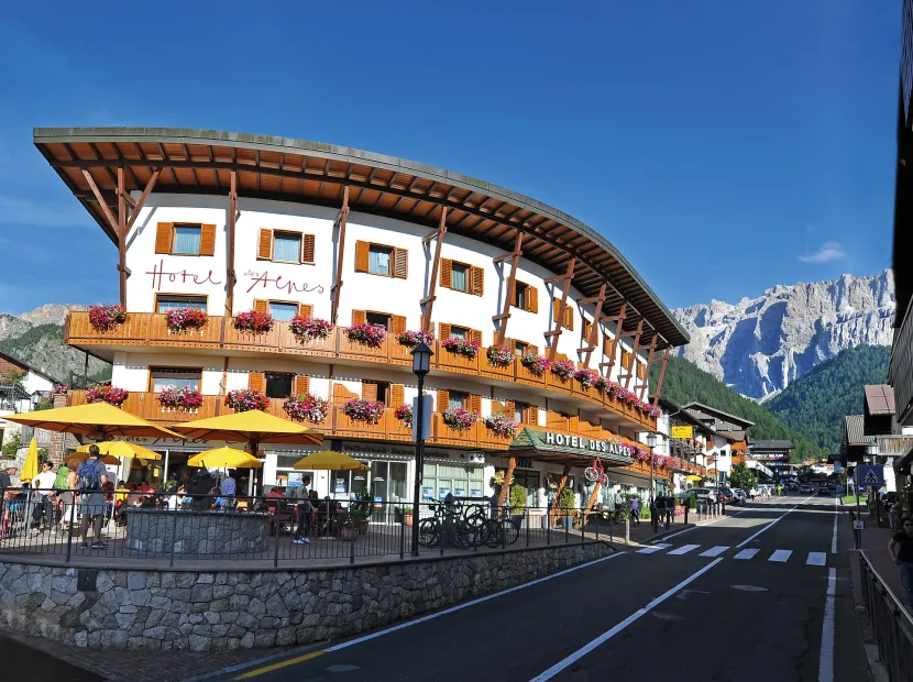 Hotel Des Alpes