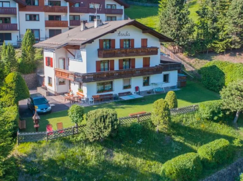 B&B Arnika
