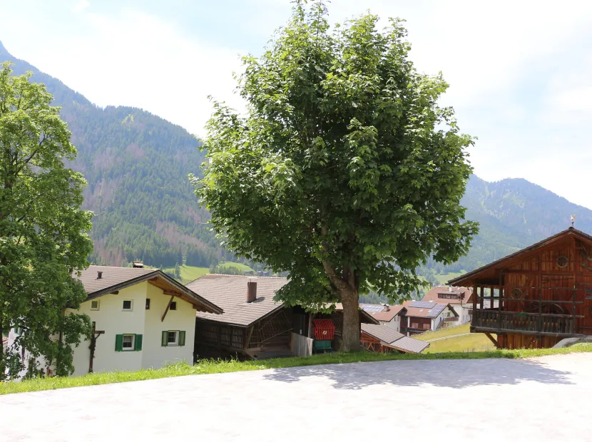 Apartments Albric