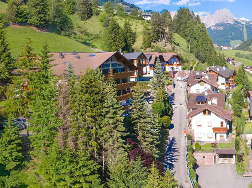 B&B Arnika