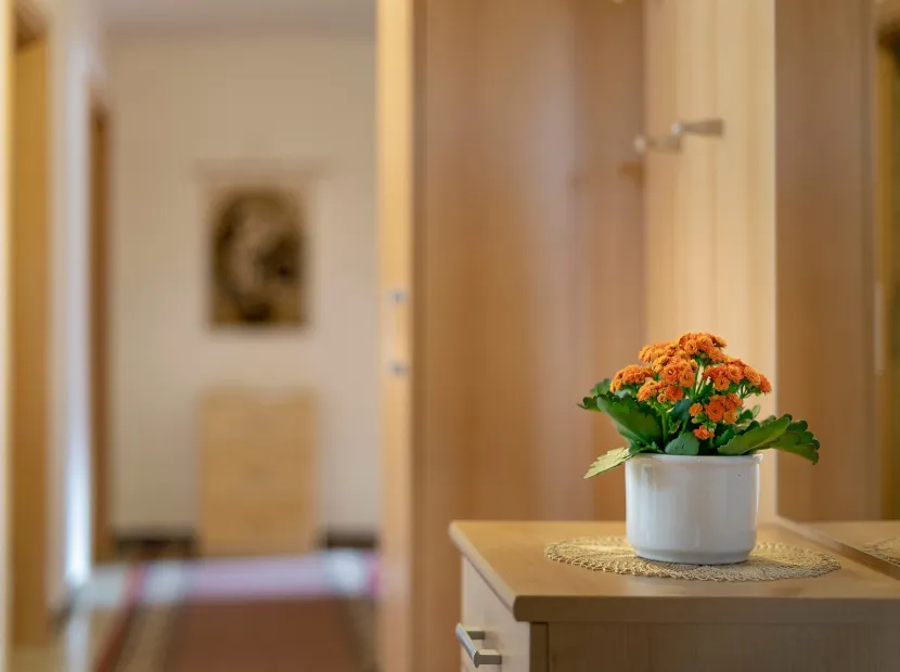 Apartments Wurdengeja - Michaela