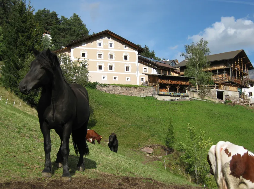 Apartments Pradac