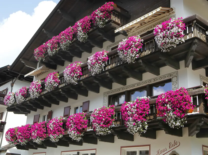 Apartments Erle