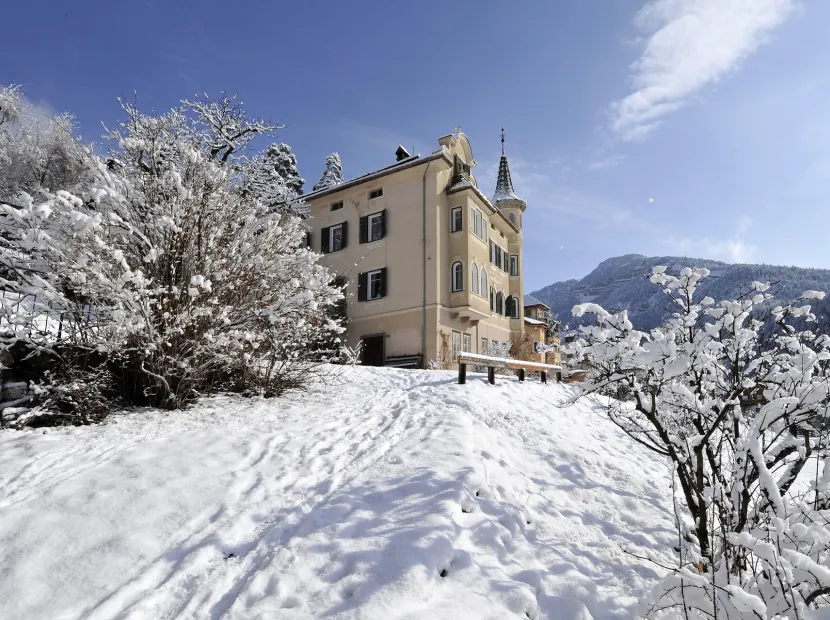 Apartments Villa Martiner