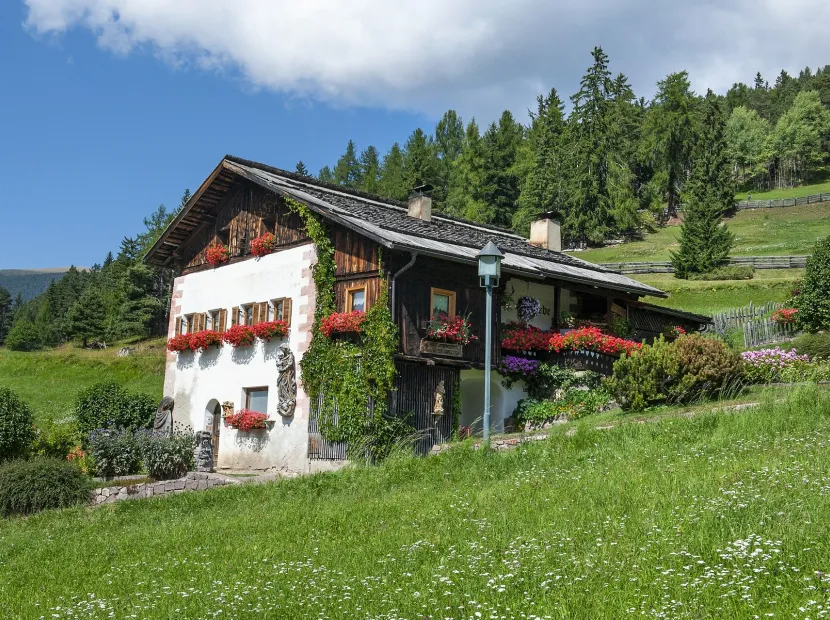Apartments Trebe