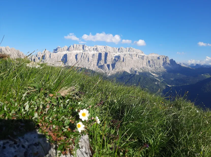 Apartments Romana - Dorothea