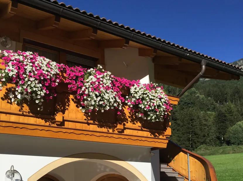 Apartments Rabanser Ossi