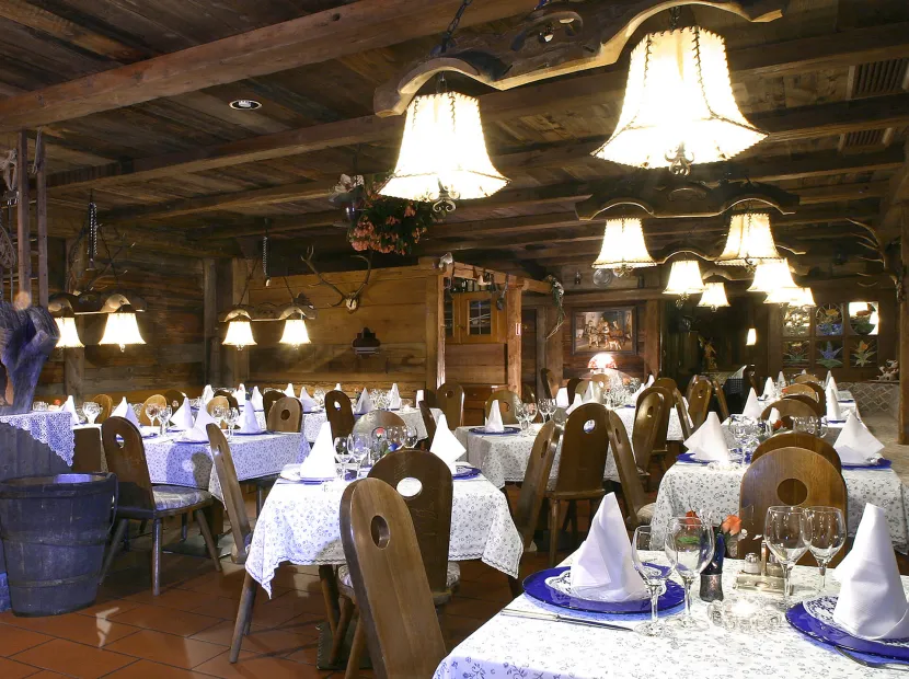 Hotel Des Alpes
