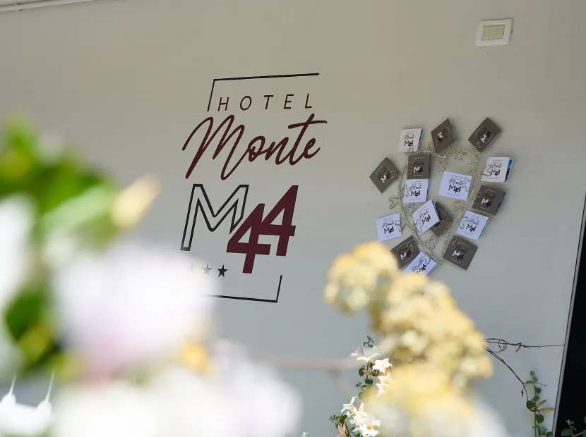 Hotel Monte 44