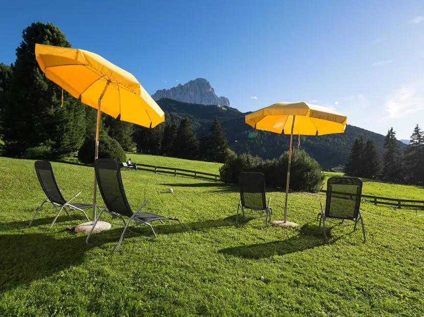 Apartments Forelle