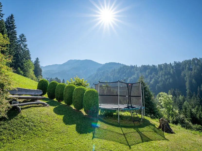 Apartments Dolina