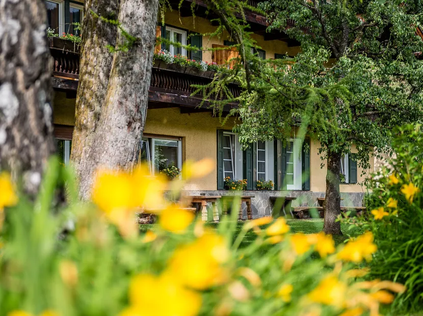 AppartChalet La Rondula