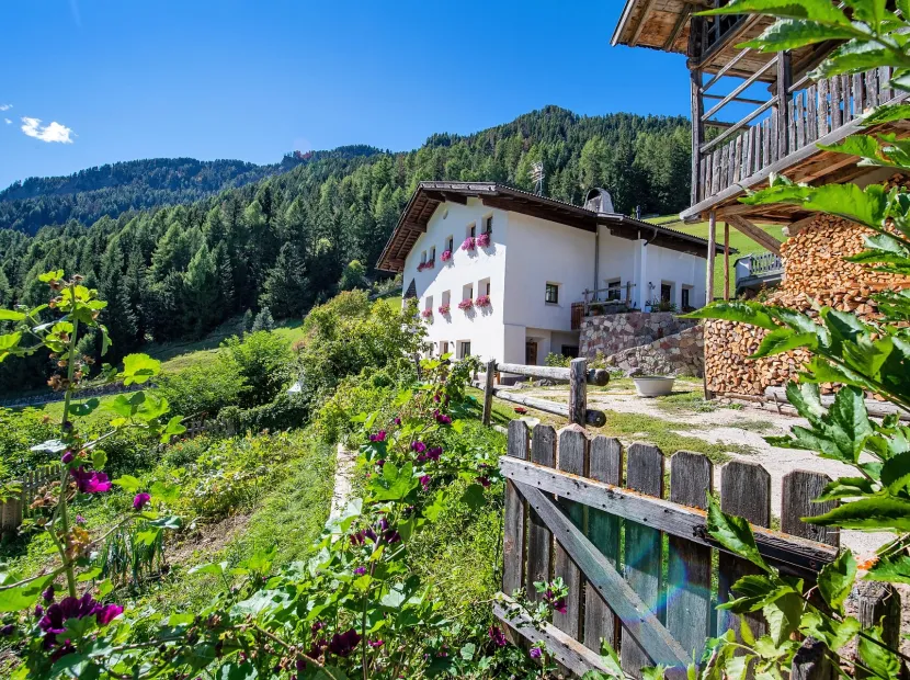 Apartments Tuenehof - Maso Tuene