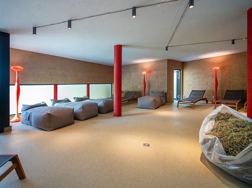 Chalet Solaia