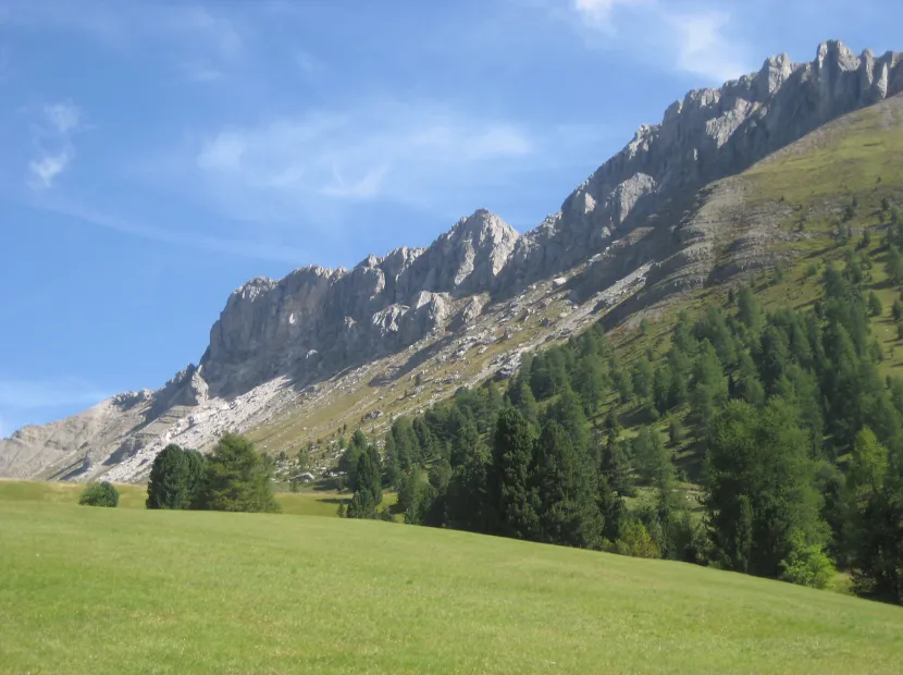 Garni Sayonara