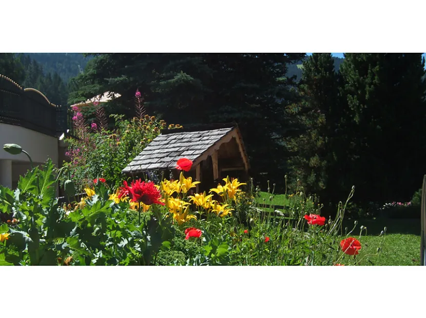 Apartments Forelle