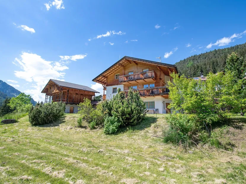 Apartments Berdan
