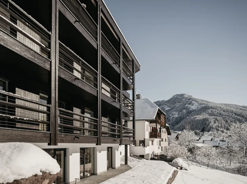 Dolomites Chalet Niuasi