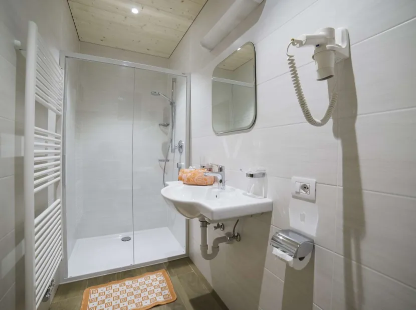 Apartments Chalet Aldian