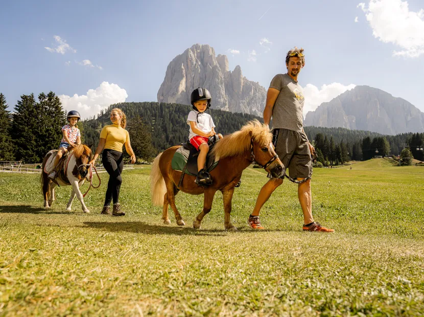 Monte Pana – Dolomites Hotel