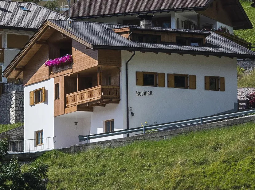 Apartments Bucinea