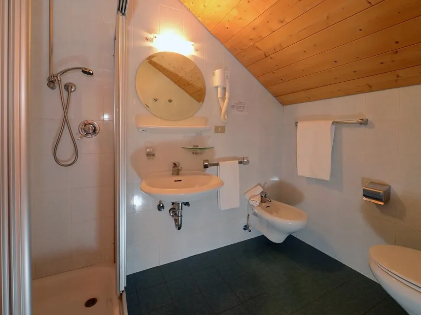 Hotel Alpin Haus SMART & FAMILY