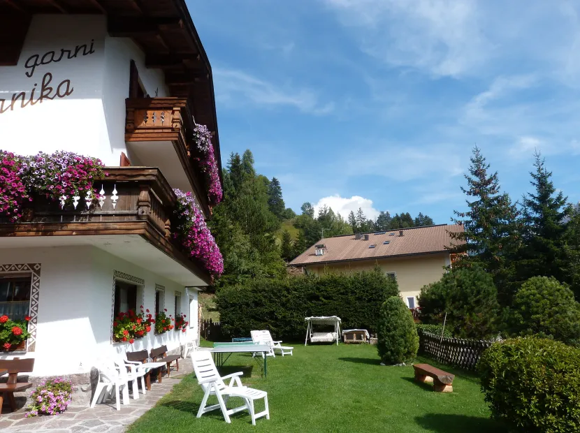 B&B Arnika