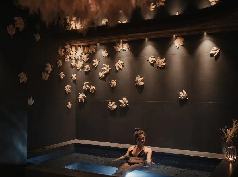 Apartments Lum D'Or Spa Chalet