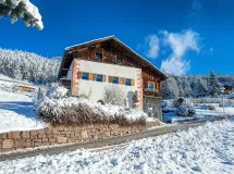 Two-bedroom apartment with garden - Apartments Trebe