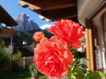 4-Raum-Apartment "Mastle", 6-7 Personen - Apartments Villa Mastle
