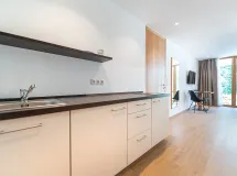 Ein-Zimmer-Wohnung mit Terrasse - Apartments Greva 2