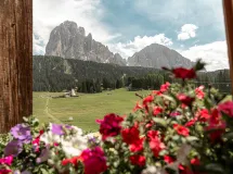 Doppelzimmer superior mit Blick auf den Langkofel - Monte Pana – Dolomites Hotel